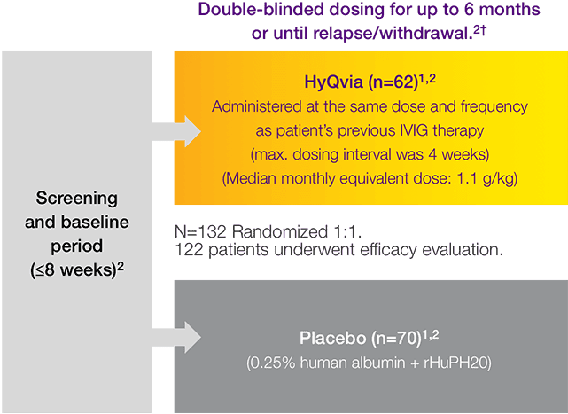 Chart of HYQVIA CIDP efficacy study design.